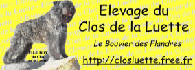 Elevage du CLOS DE LA LUETTE - COPYRIGHT DEPOSE